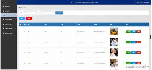 朝阳保险公司营销管理系统毕业设计 SSM框架实现与源码解析